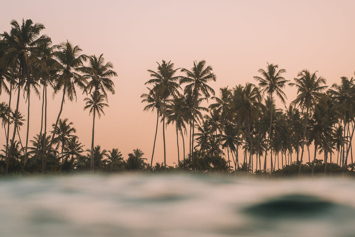 Ocean & palm trees Sri Lanka