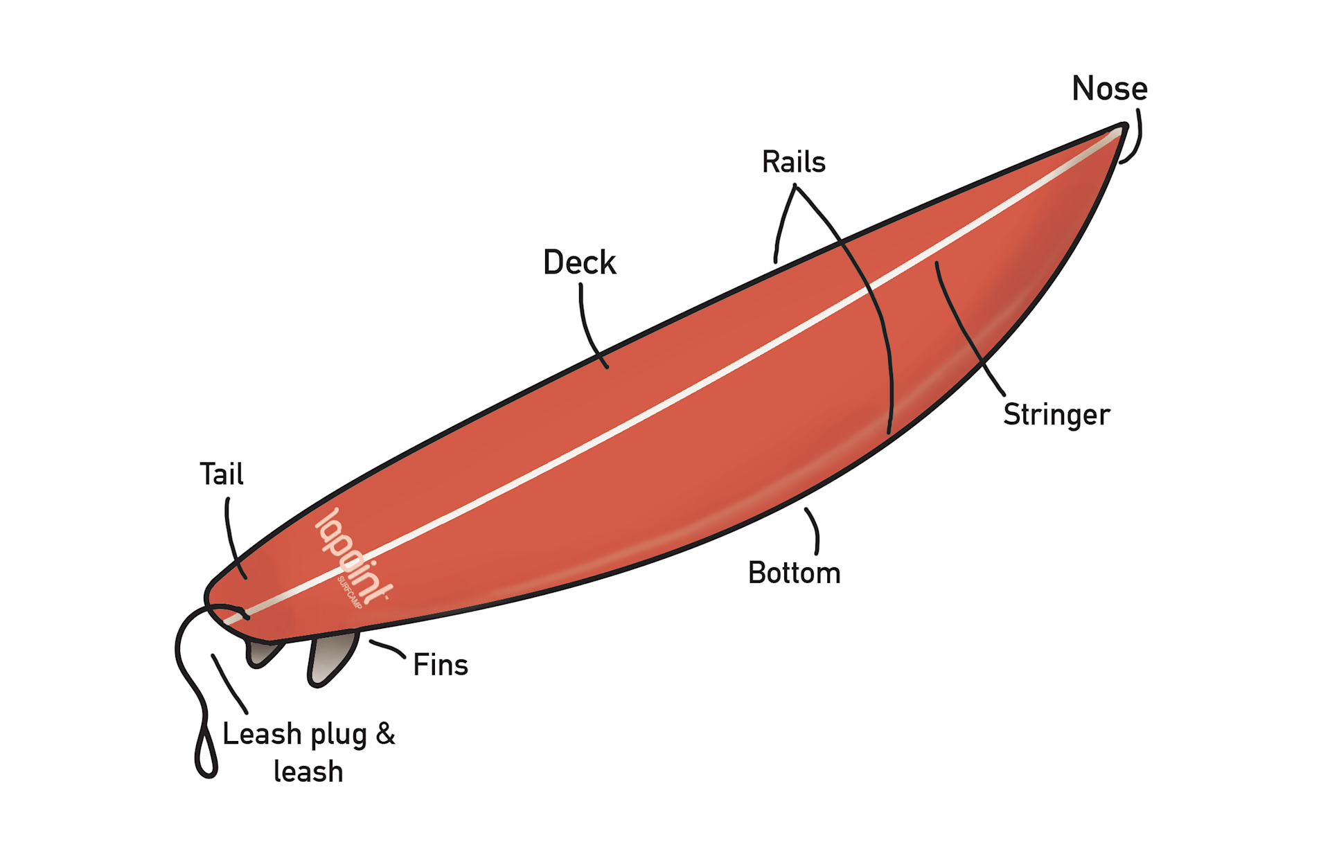 Surf board anatomy