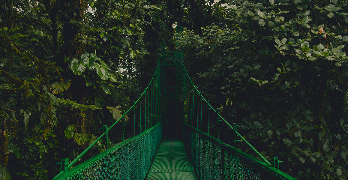 Monteverde cloud forest reserve