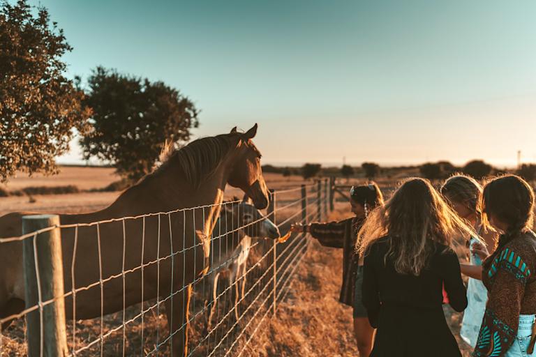 horses-lapoint-alentejo