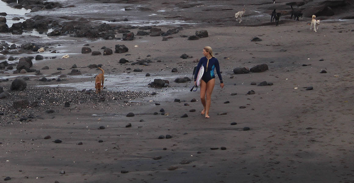 walking on the beach with the dog