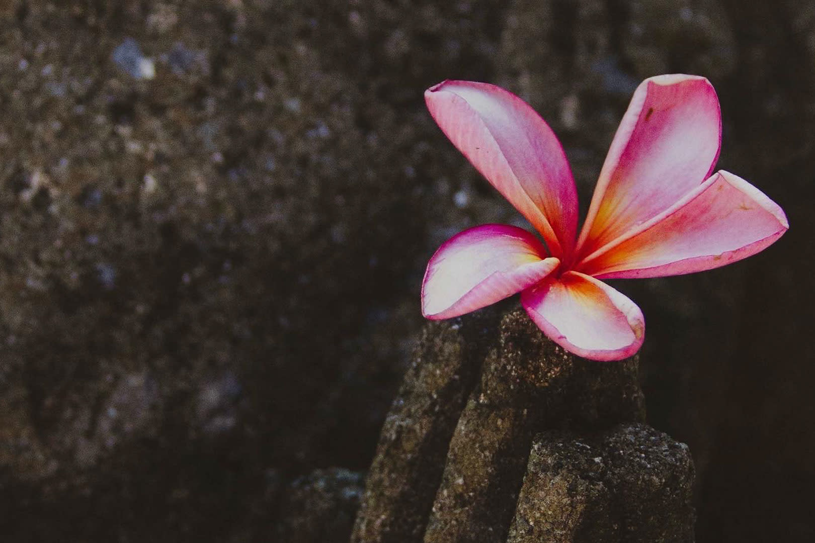 Bali-day-of-silence