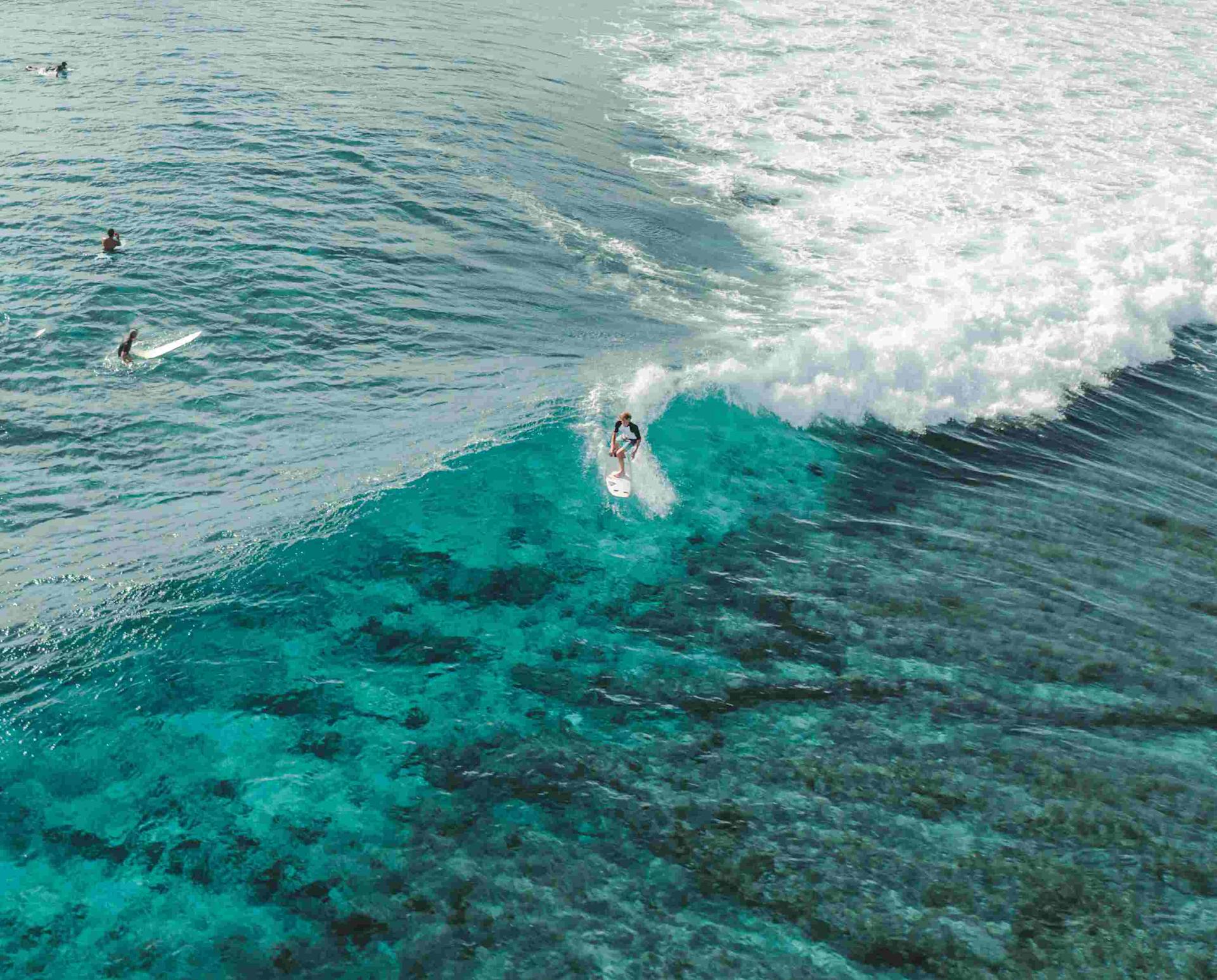 Intermediate surfers in the maldives