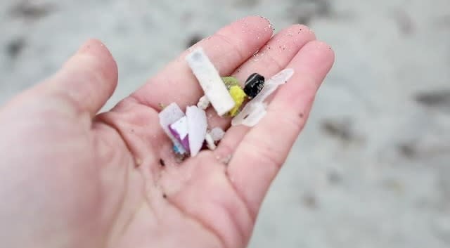 Protecting our playground: Turning the tide on plastic pollution | Lapoint Surf Camps