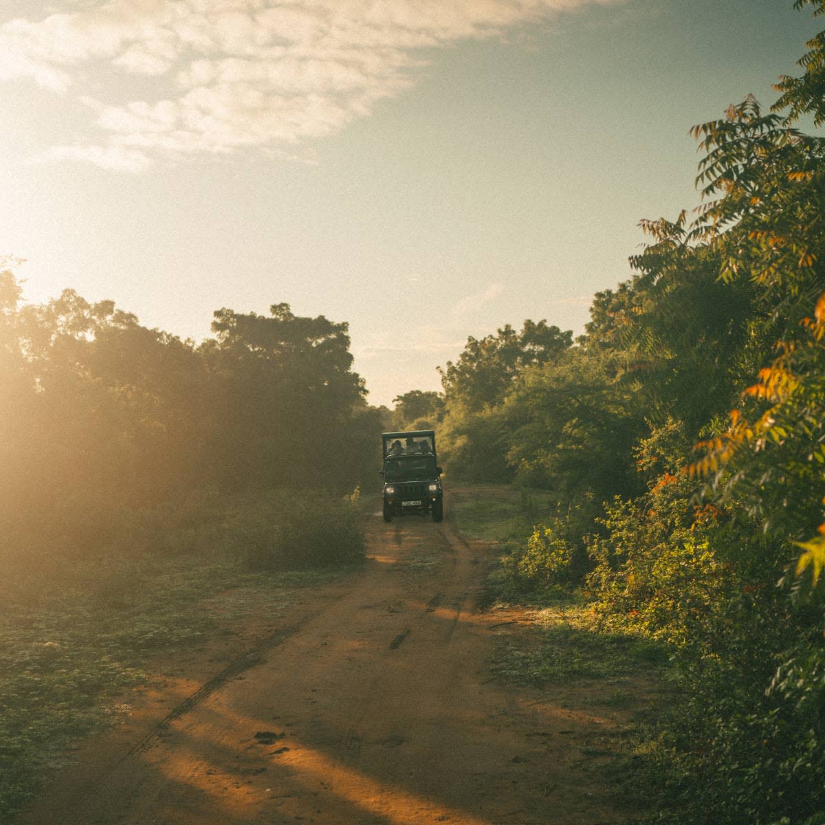 Why-you-should-visit-Ahangama-Sri-Lanka-in-low-season
