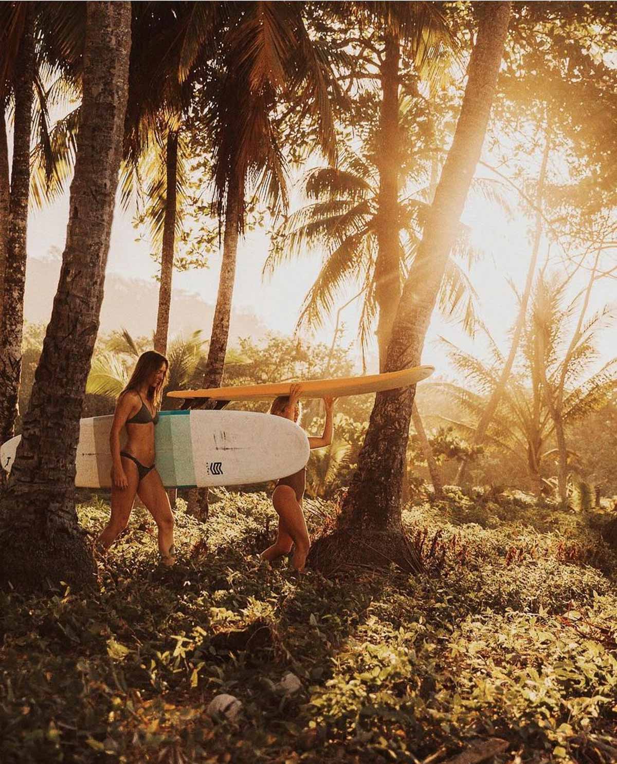 tropical-walk-surfboards