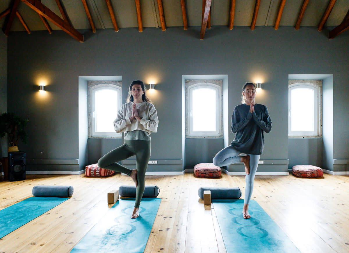 yoga girls in yoga shala Lapoint