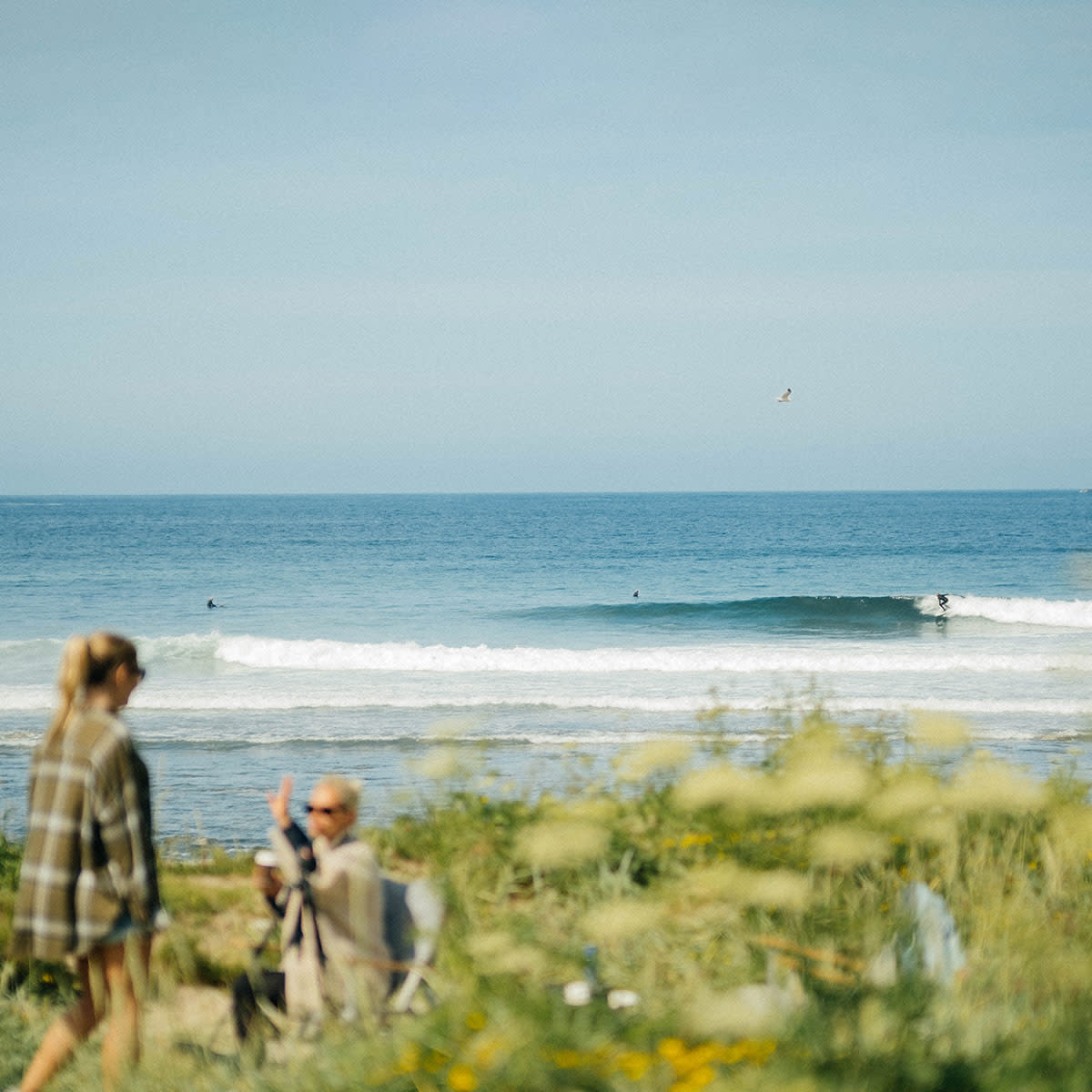 Lapoint-surf-guide-Hoddevik