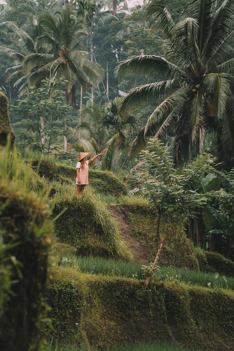 Rice fields in Bali