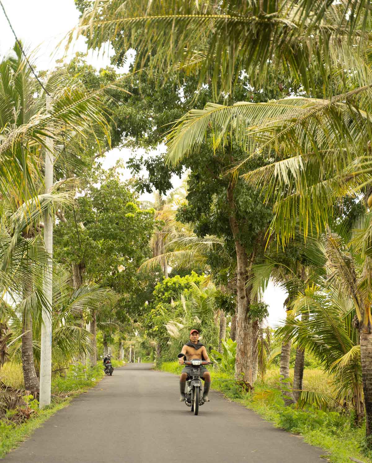 bali-scooter