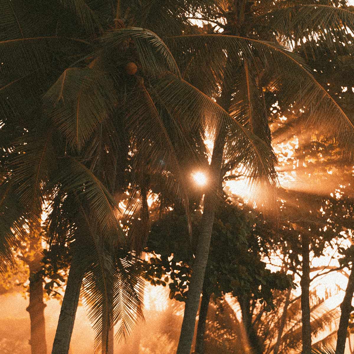 Lapoint-costa-rica-santa-teresa-surf-camp