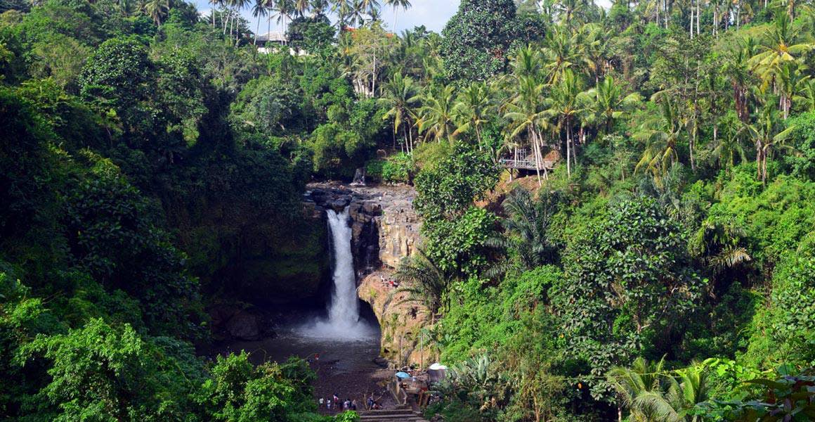 waterfall bali