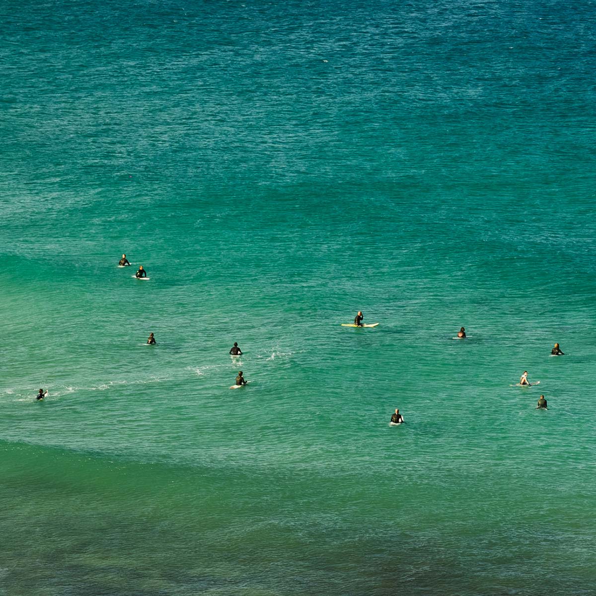 Whats-the-vibe-like-in-the-water-in-fuerteventura