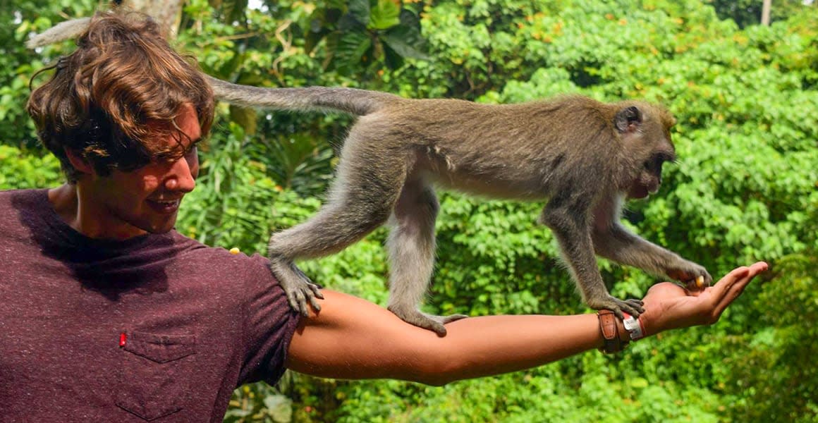 guy holding a monkey bali monkey forest